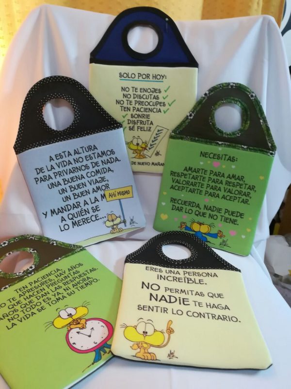 Bolsa Portaobjetos Vehicular